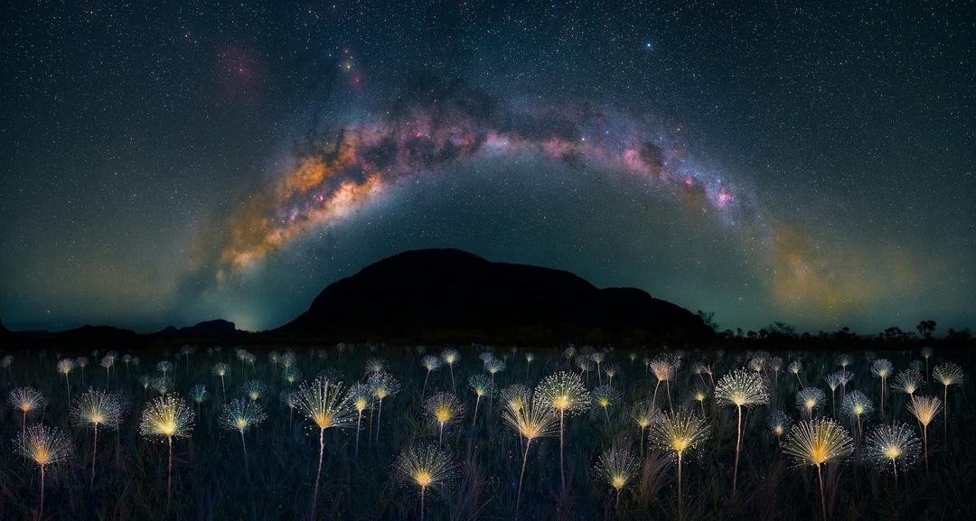 Photography Contest Winners 2023 · The Nature Photography Contest