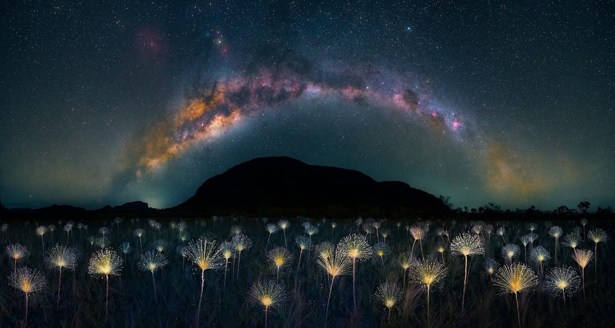 Photo Competition Photography Contest Winners 2023 · The Nature Photography Contest
